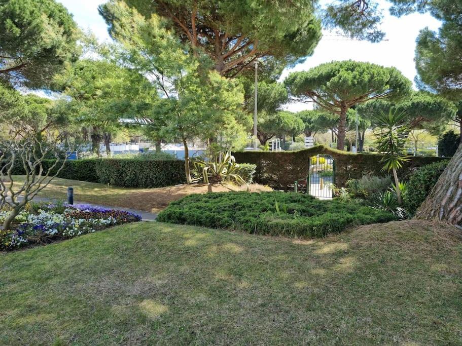 Superbe T2 Tout Confort 3 Etoiles, Entierement Renove Avec Piscine, Parking, Clim, Wifi, Netflix ラ・グランド・モット エクステリア 写真