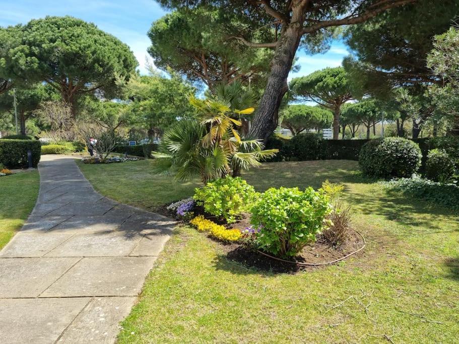 Superbe T2 Tout Confort 3 Etoiles, Entierement Renove Avec Piscine, Parking, Clim, Wifi, Netflix ラ・グランド・モット エクステリア 写真